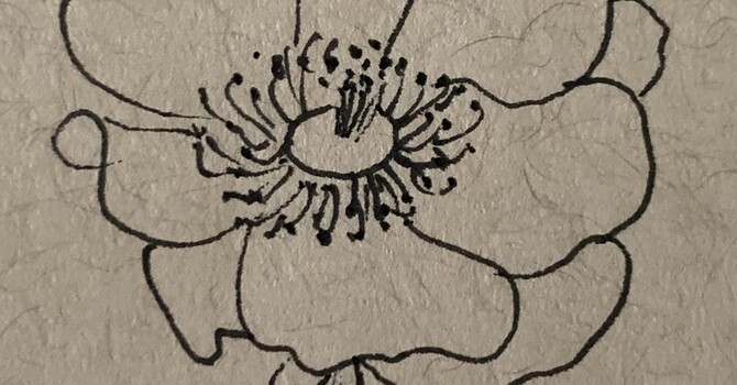 Useful websites image