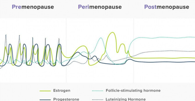 Herbs & Hormones